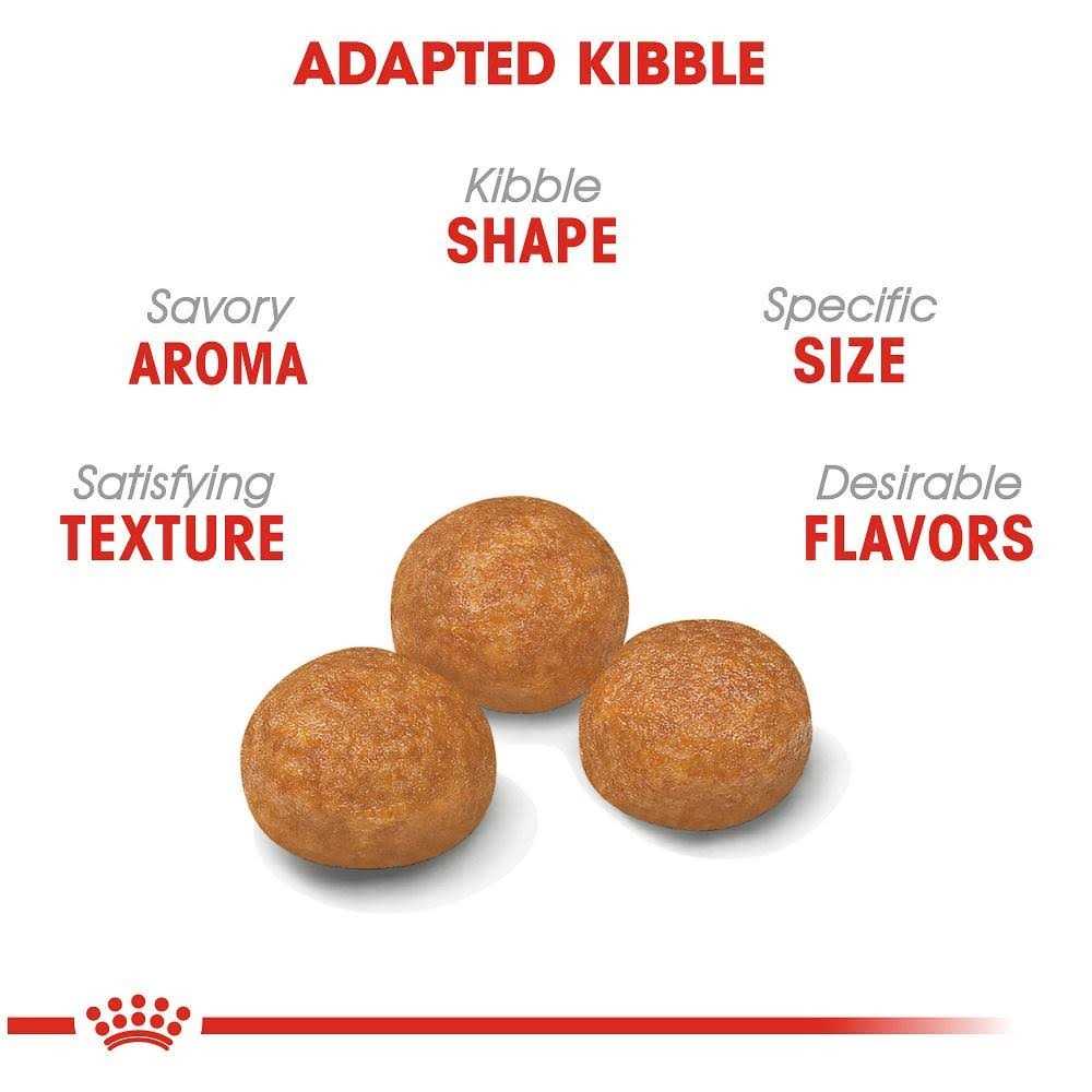X-Small Adult Dry Dog Food A49505