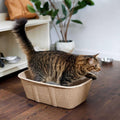 Disposable Cat Litter Box Y928