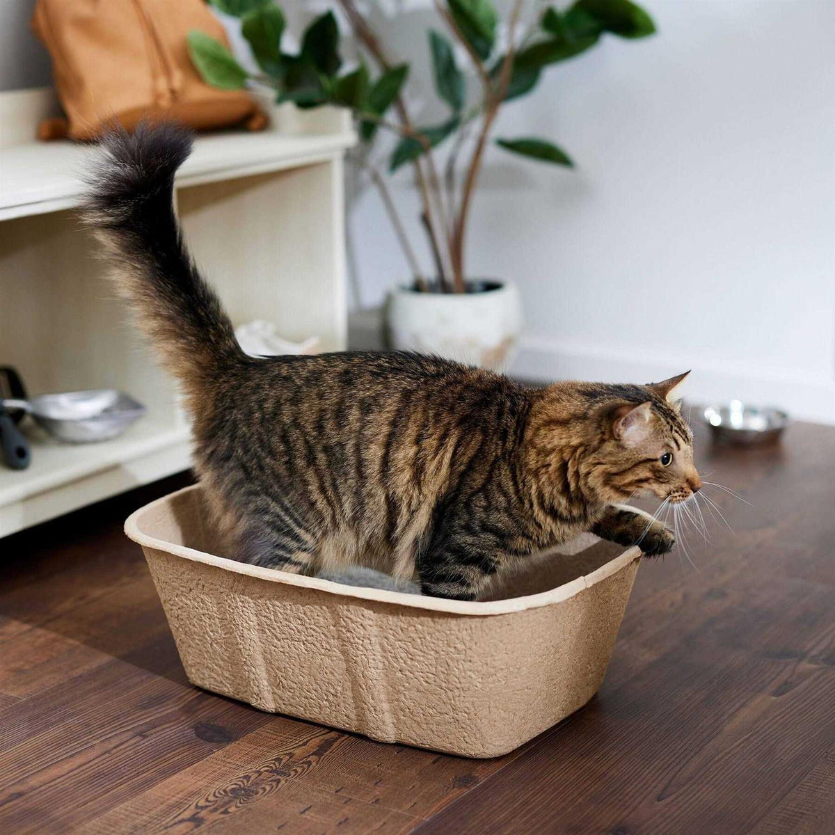 Disposable Cat Litter Box Y928