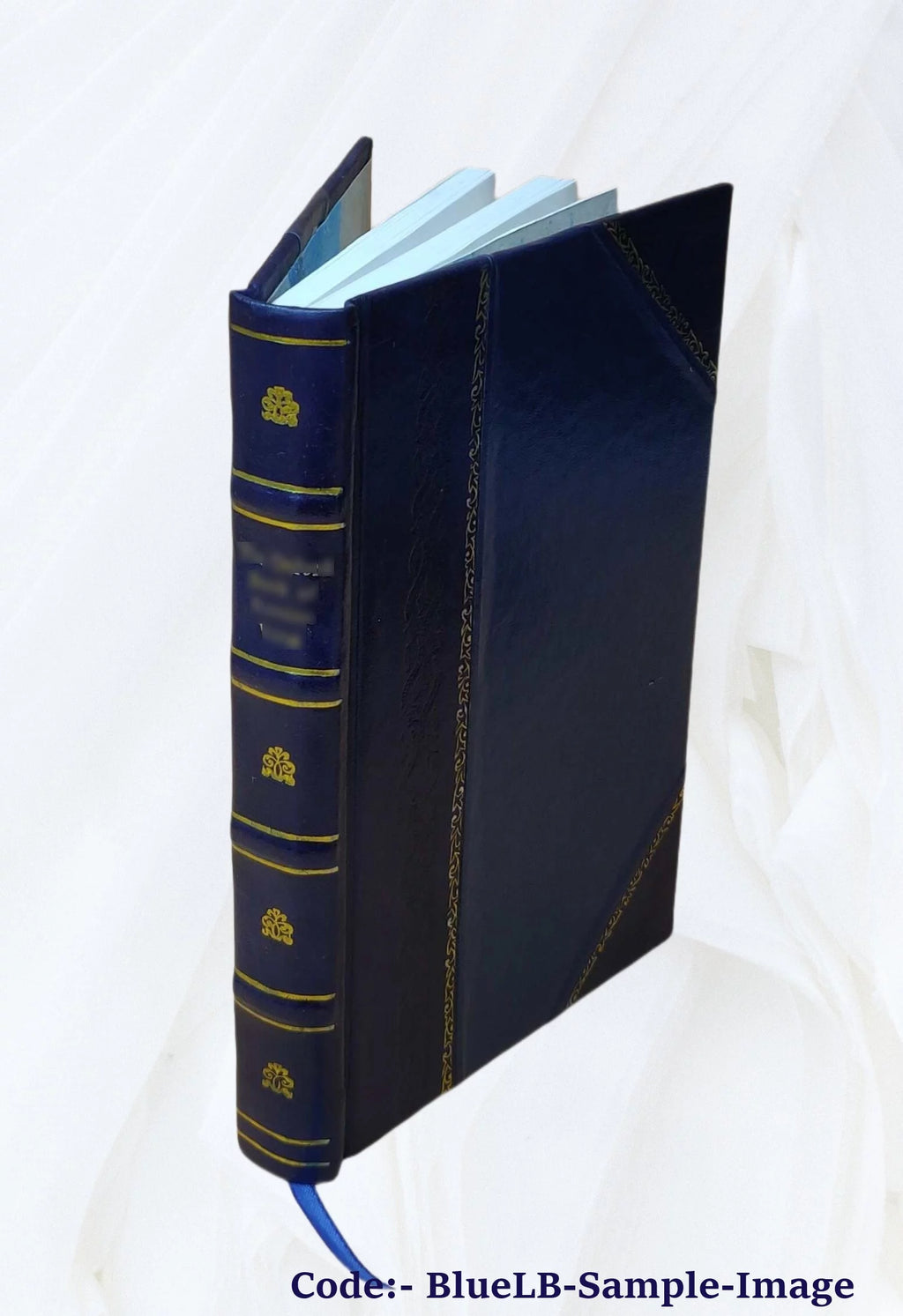 Leather Bound Book R826161
