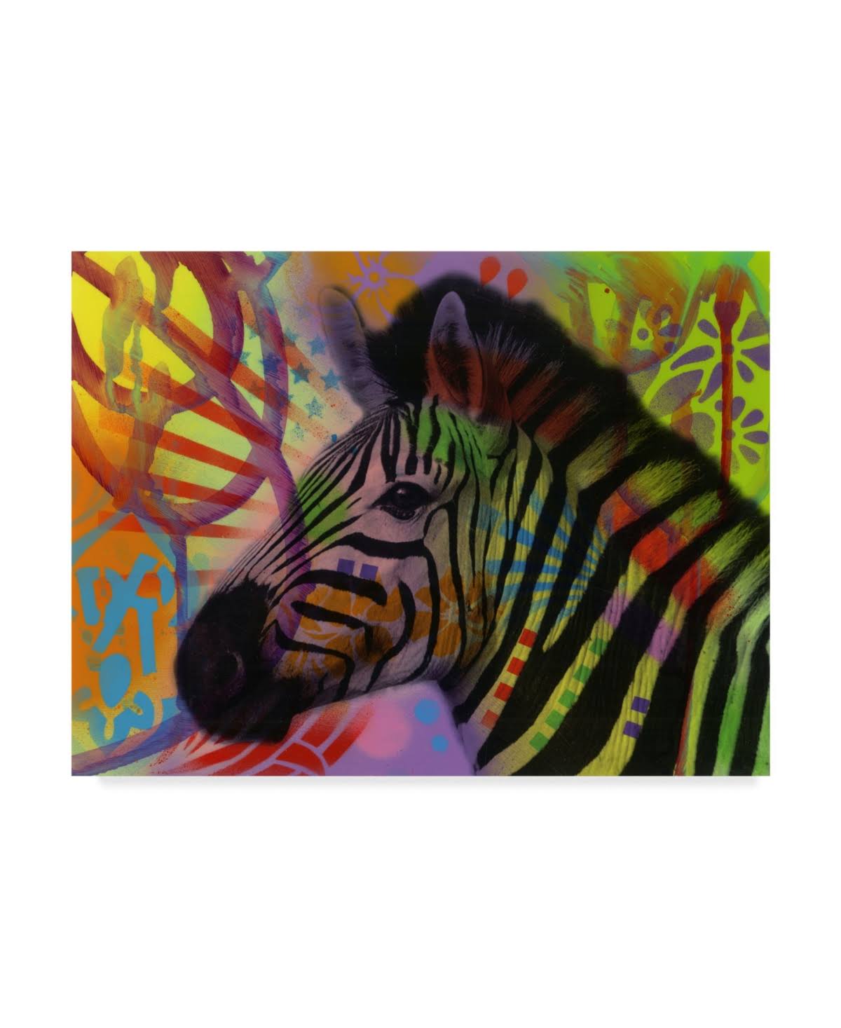 Zebra Canvas Art Q264