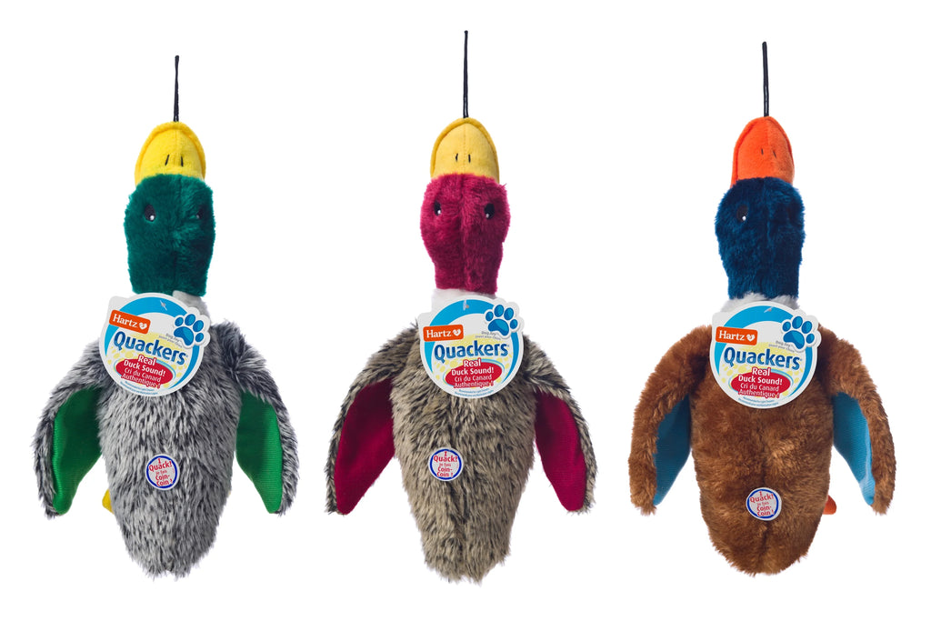 Plush Duck Dog Toy I18593