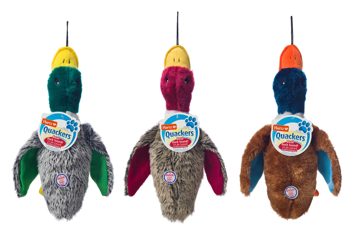 Plush Duck Dog Toy I18593