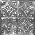 24-in x 24-in 5-Pack Brushed Satin Nickel Metal/Tin Surface-Mount Panel Ceiling Tiles L493