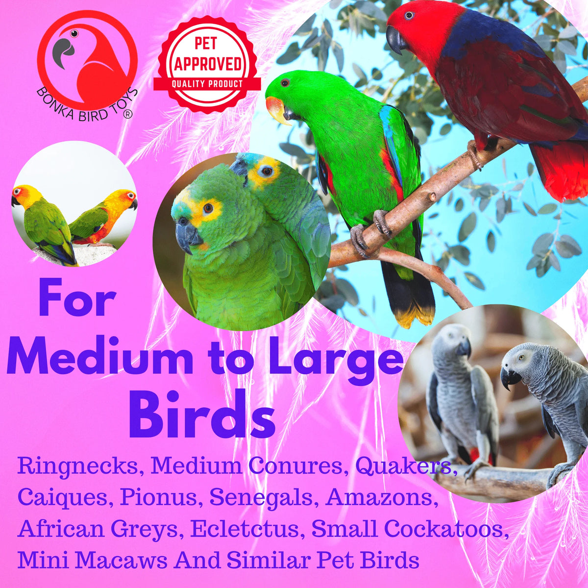 Red Clacker Bird Toy B299331