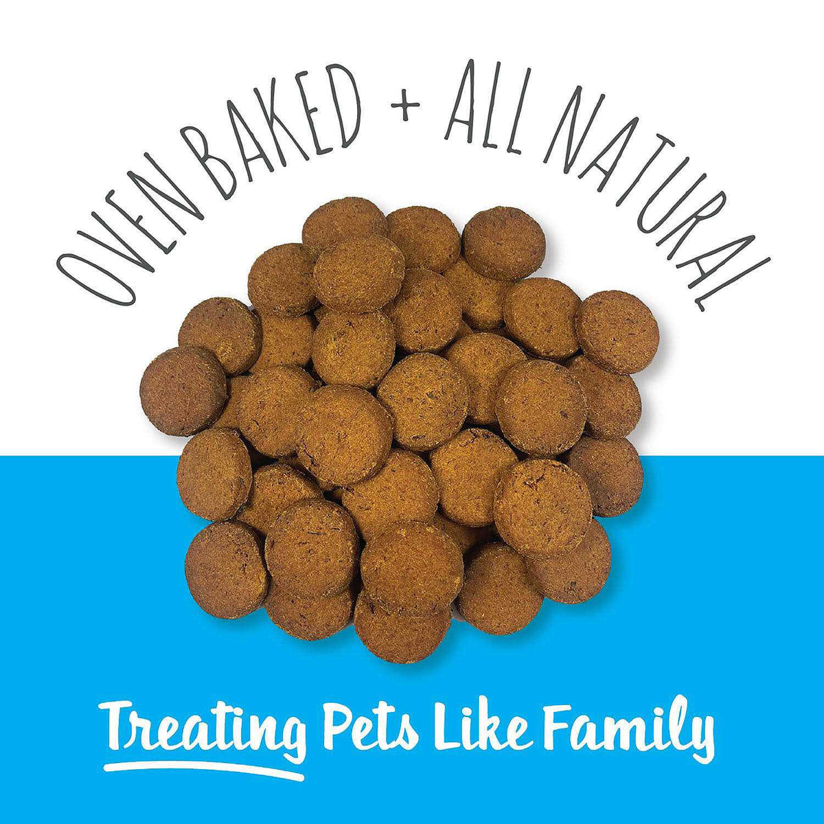 Salmon Bites Dog Treats A47441