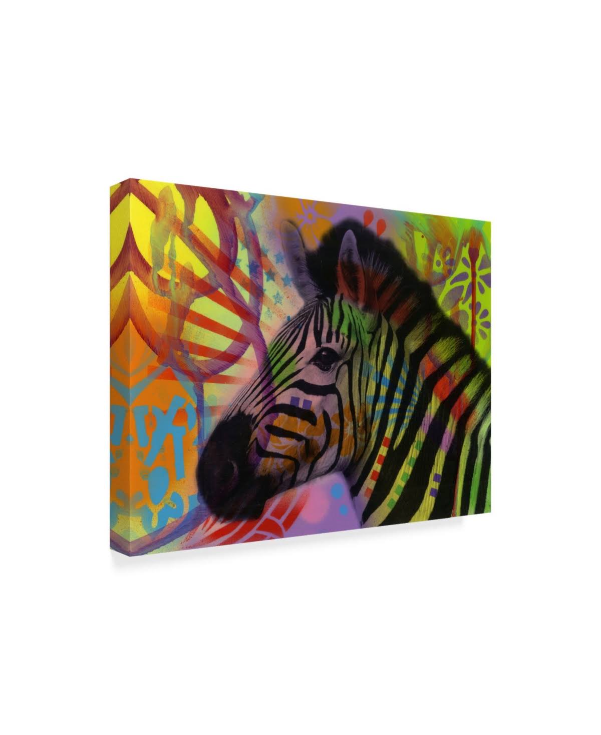 Zebra Canvas Art Q264