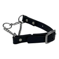 Martingale Collar for Dogs Biothane Stainless Steel Hardware J657