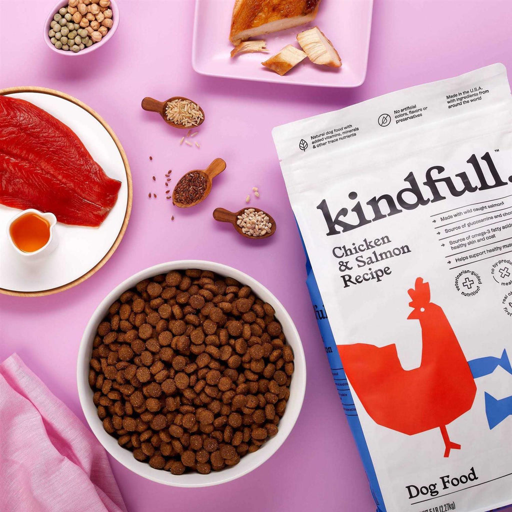 Chicken and Salmon Recipe Dry Dog Food T82270