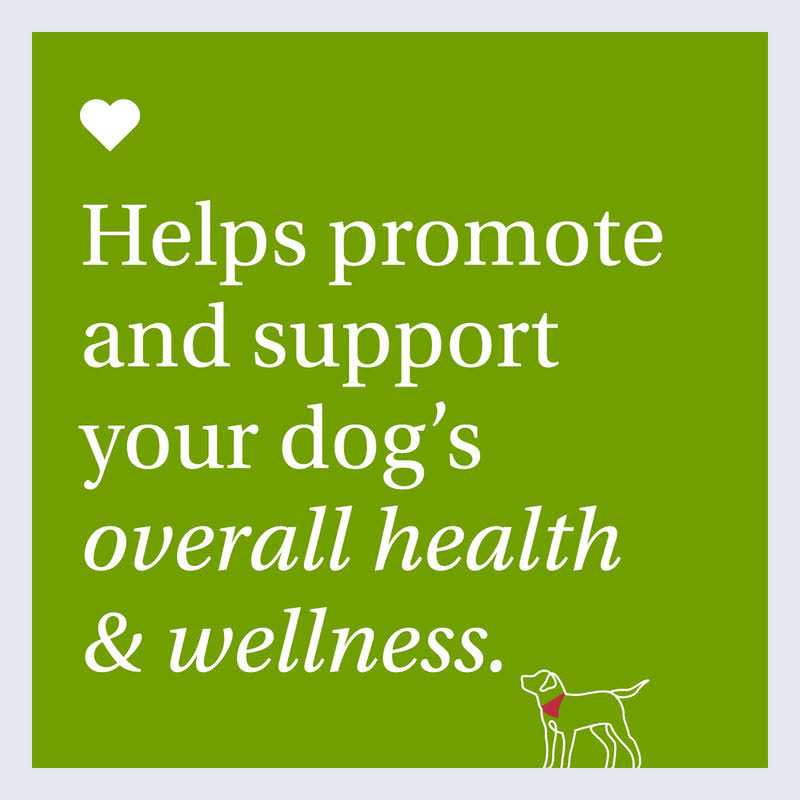 22 in 1 Dog Multivitamin K922