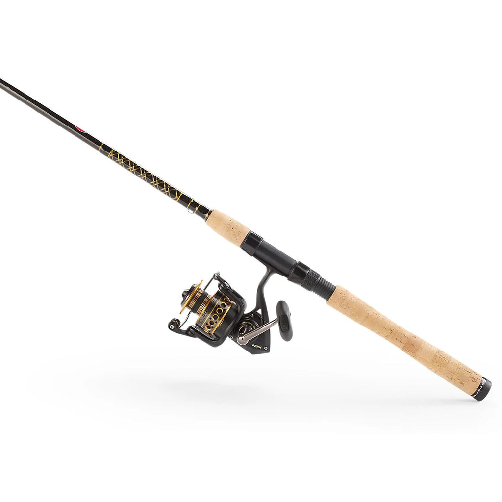 Spinning Fishing Combo Z921333