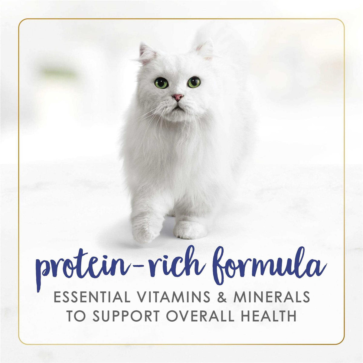 Wet Cat Food G421