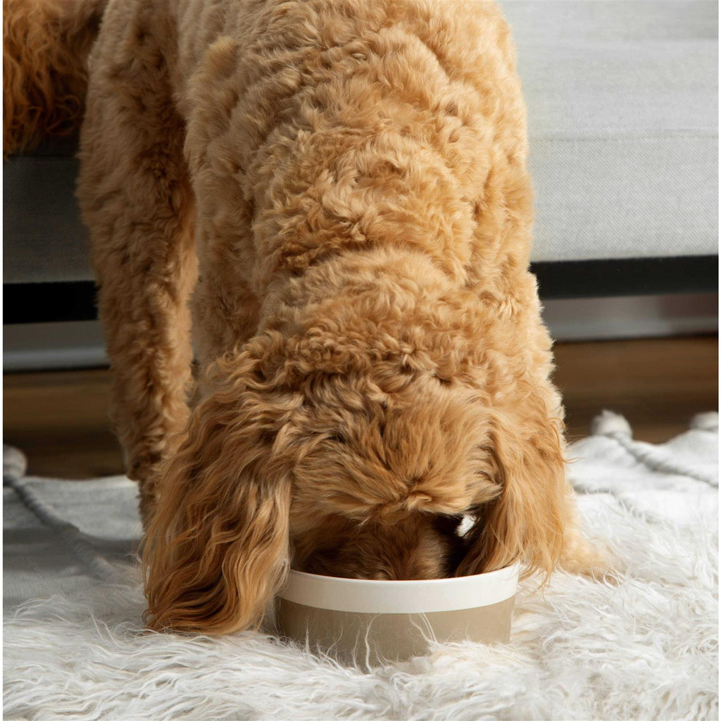 Ceramic Dog Bowl T994