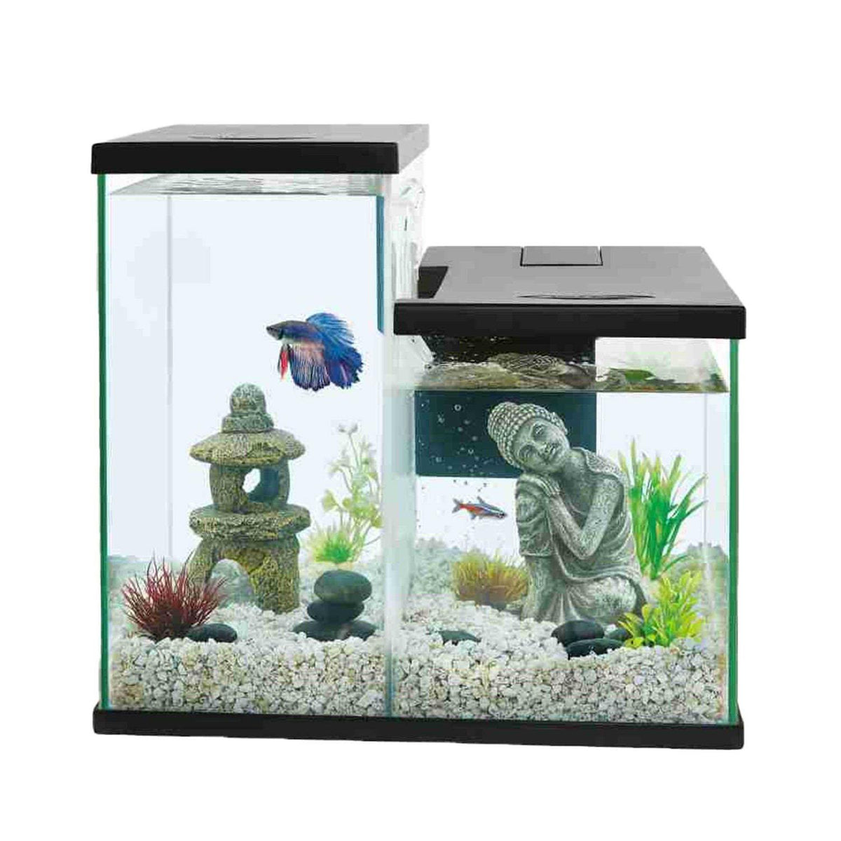 Betta Dual Aquarium Tank M8764