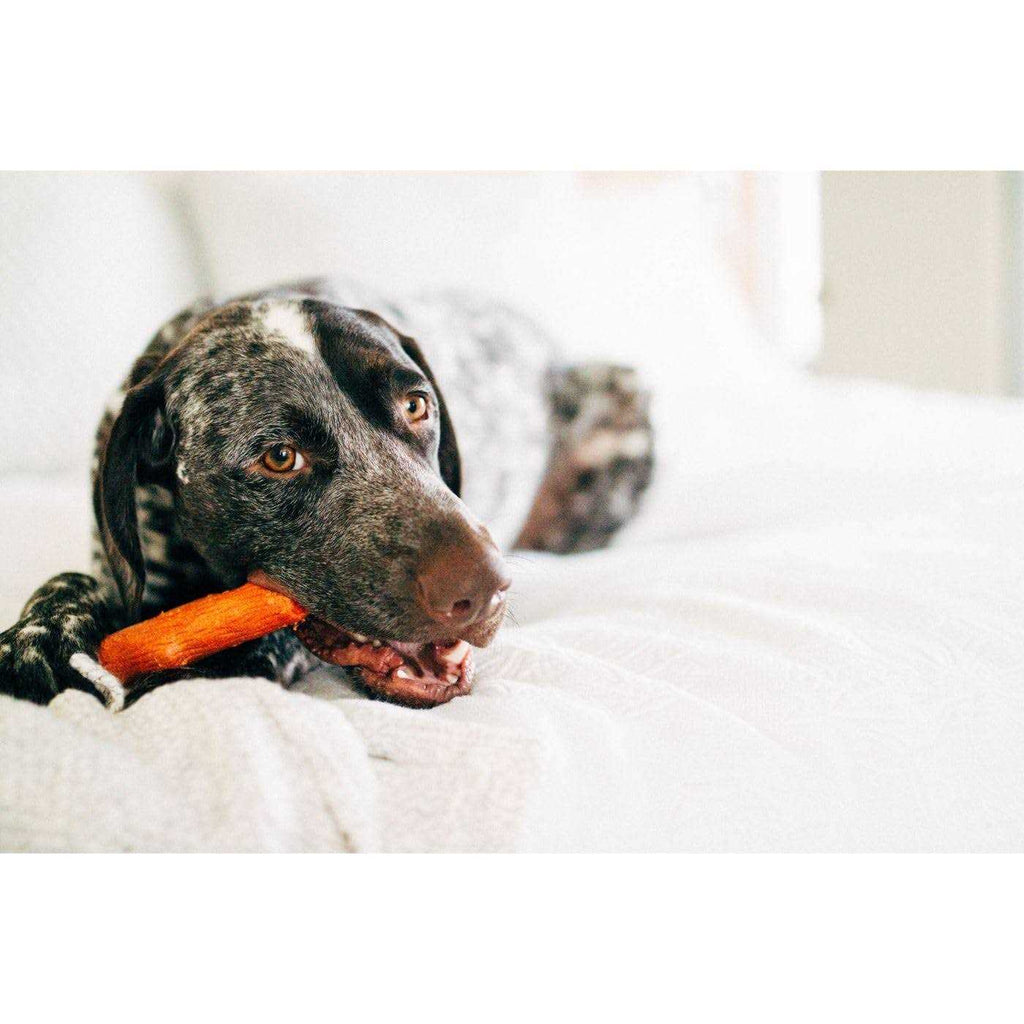 Dogwood Stick Dog Chew Toy R90874