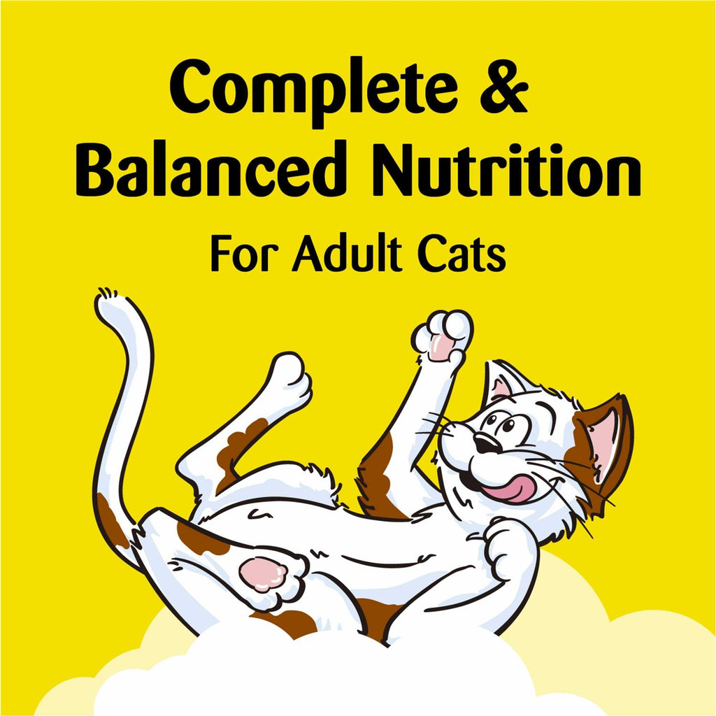 Cat Treats W12694