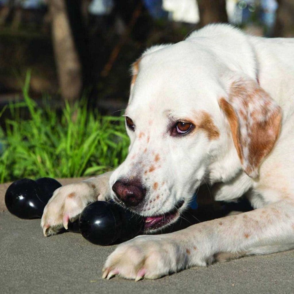 Dog Toy Bone U45734