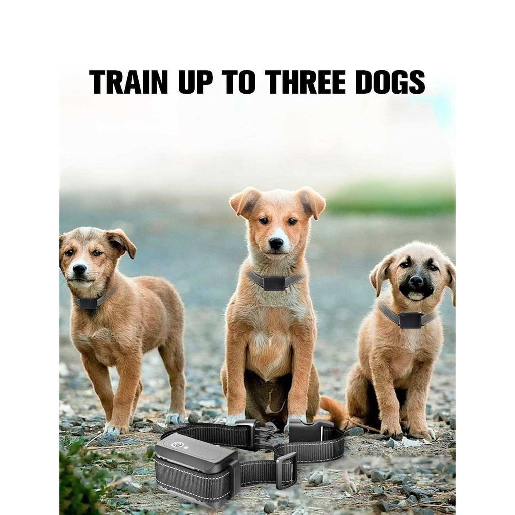 1100 Yard Auto Anti Bark Humane Beep M7827