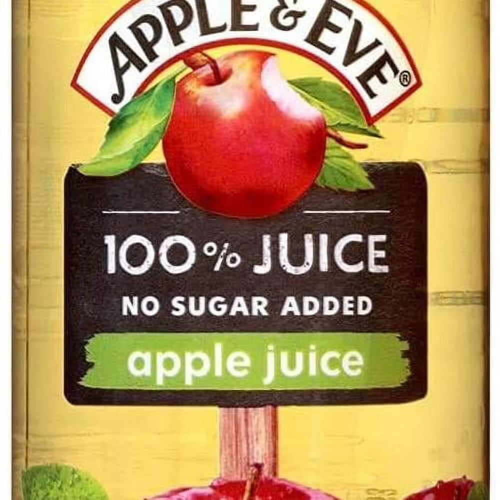 100% Juice Fruit Drink - 24 Pk (10 Oz) M729