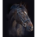 Black Standard Horse Bridle with Reins A128