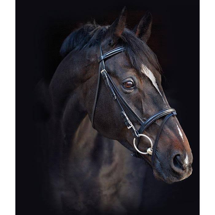 Black Standard Horse Bridle with Reins A128