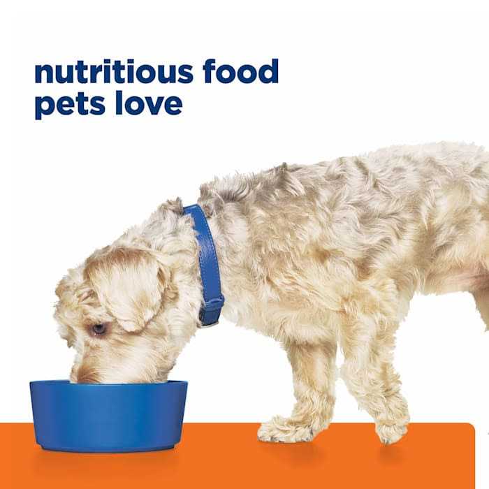 Chicken Canned Dog Food E9193