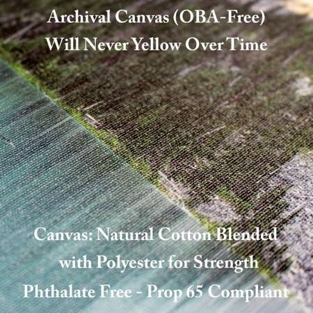 Zebra Canvas Art Q264