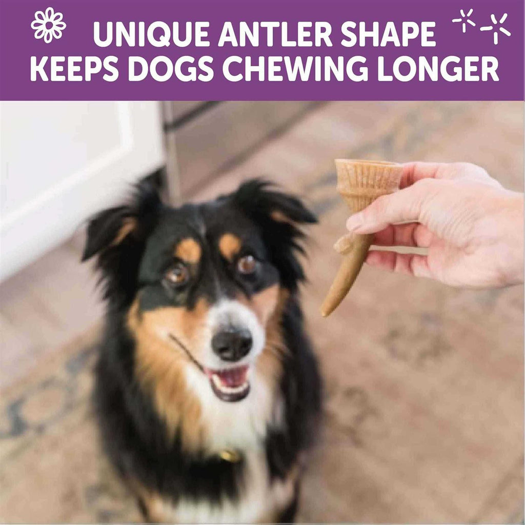 Dog Chews Value Bag Q56725