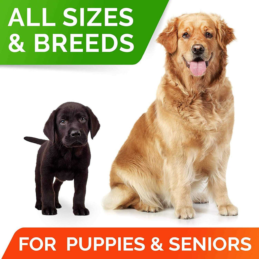 Probiotics for Dogs S50806