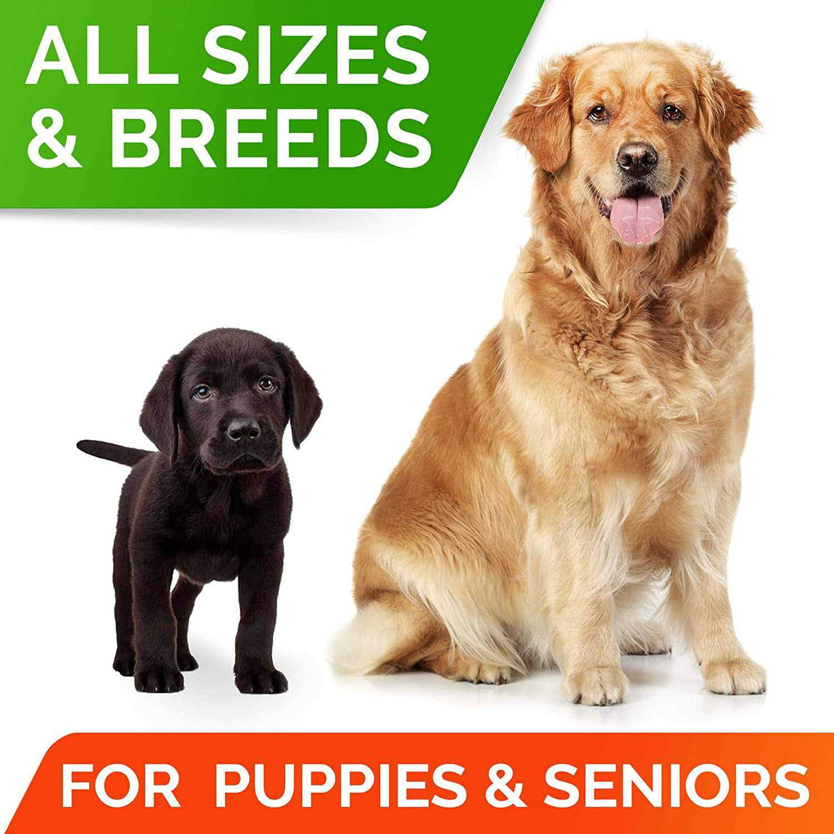 Probiotics for Dogs S50806