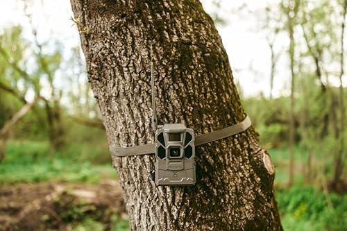 Cellular Trail Camera with 32GB SD Card T77588