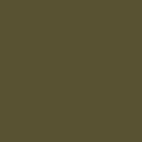 10 Ft. Sit-in Fishing Kayak Olive V973104