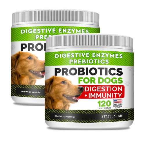 Probiotics for Dogs S50806