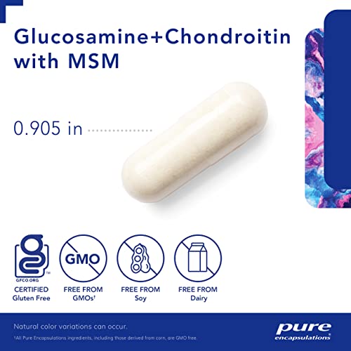 Glucosamine Chondroitin with MSM 120 Capsules Q998499