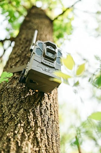 Cellular Trail Camera with 32GB SD Card T77588