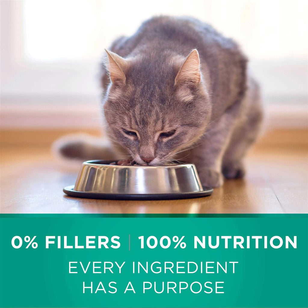 Dry Cat Food W6384