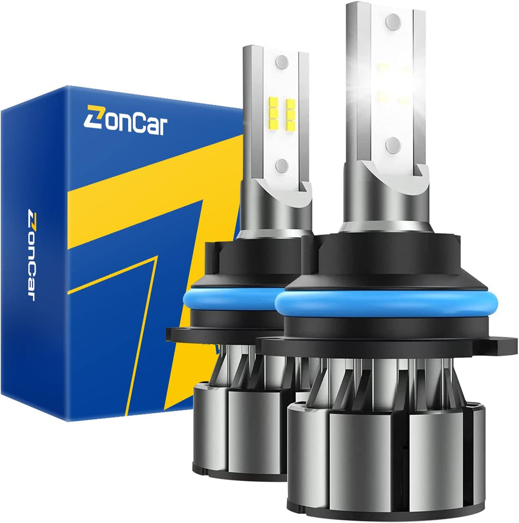 Pack of 2 6500K LED Bulbs P259