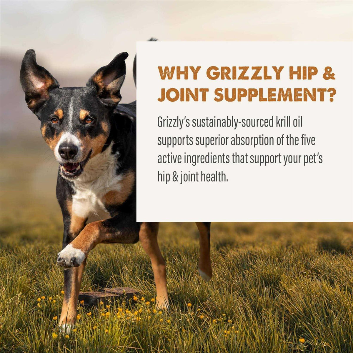 Joint Aid Liquid for Dogs W7864