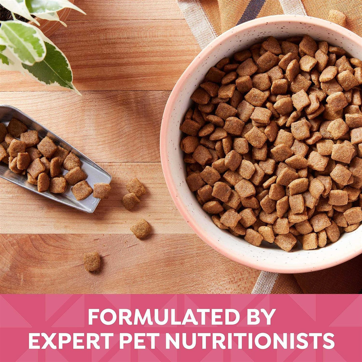 Grain Free Salmon Sweet Potato Dry Dog Food S149