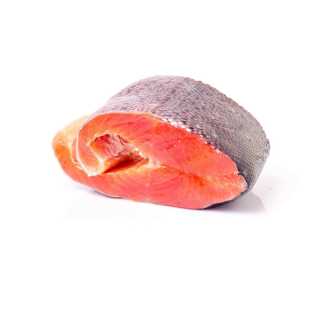 Salmon Dog Treats T885752
