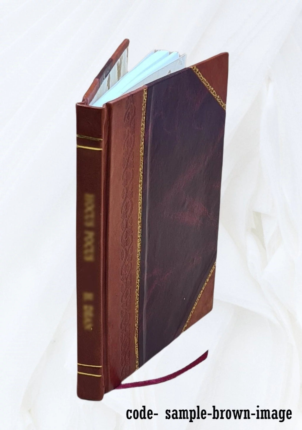 Leather Bound P309