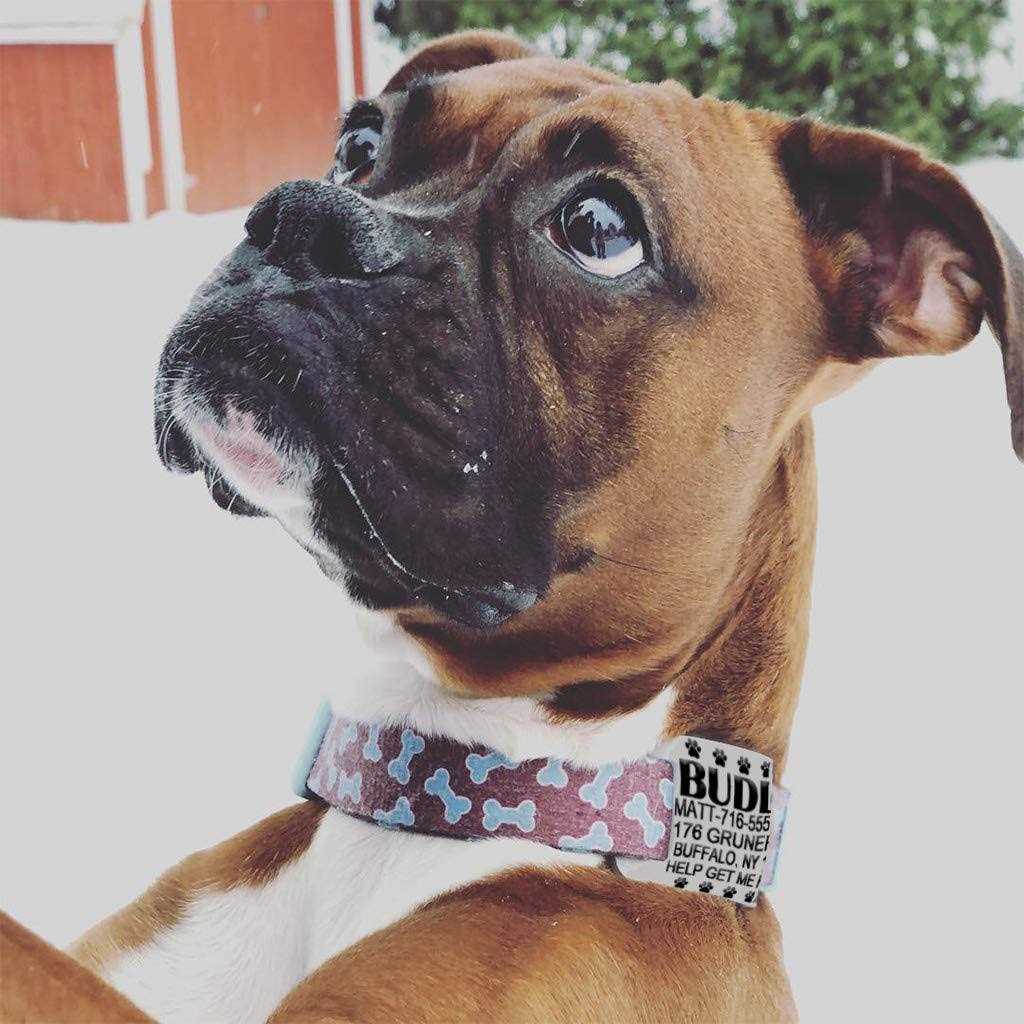 Silent Slide On Silicone Rubber Dog Collar Tag L9374