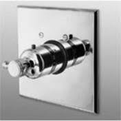 Antique Nickel Thermostatic Trim Plate with Handle I759