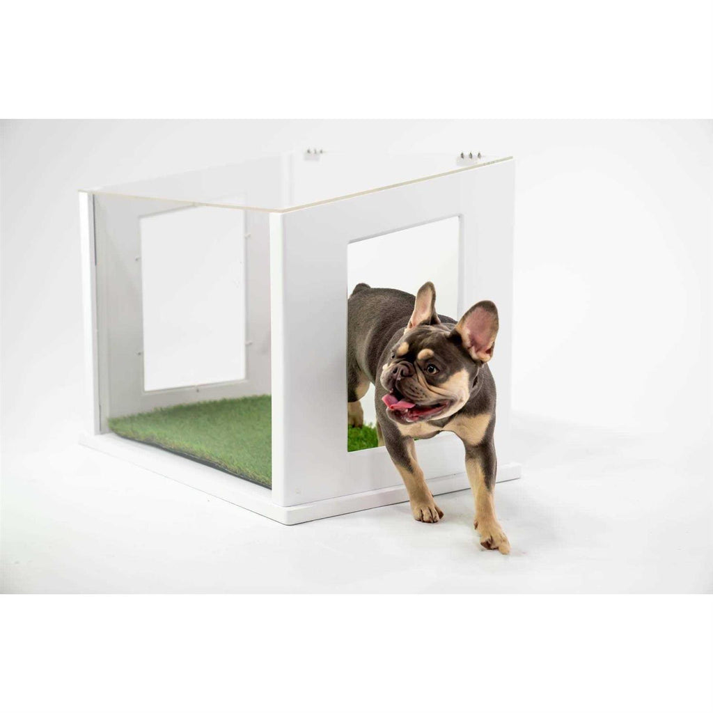 Dog or Cat Potty D73686