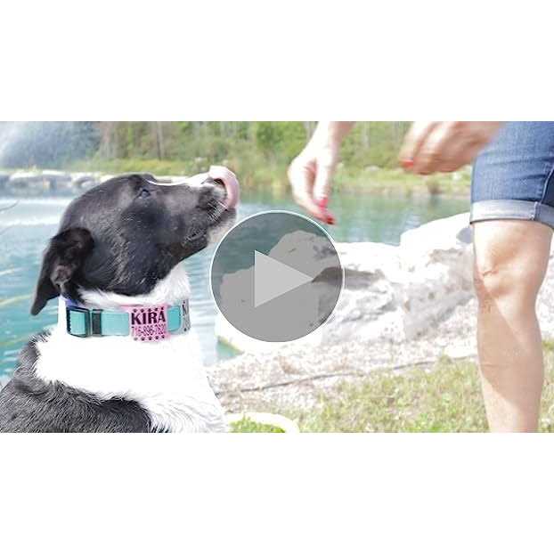 Silent Slide On Silicone Rubber Dog Collar Tag L9374