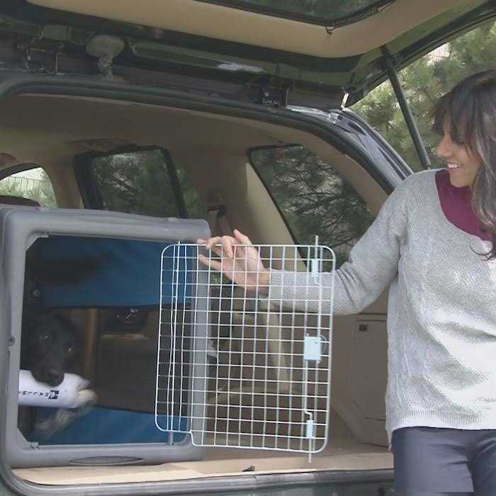 Pop up Travel Crate L733
