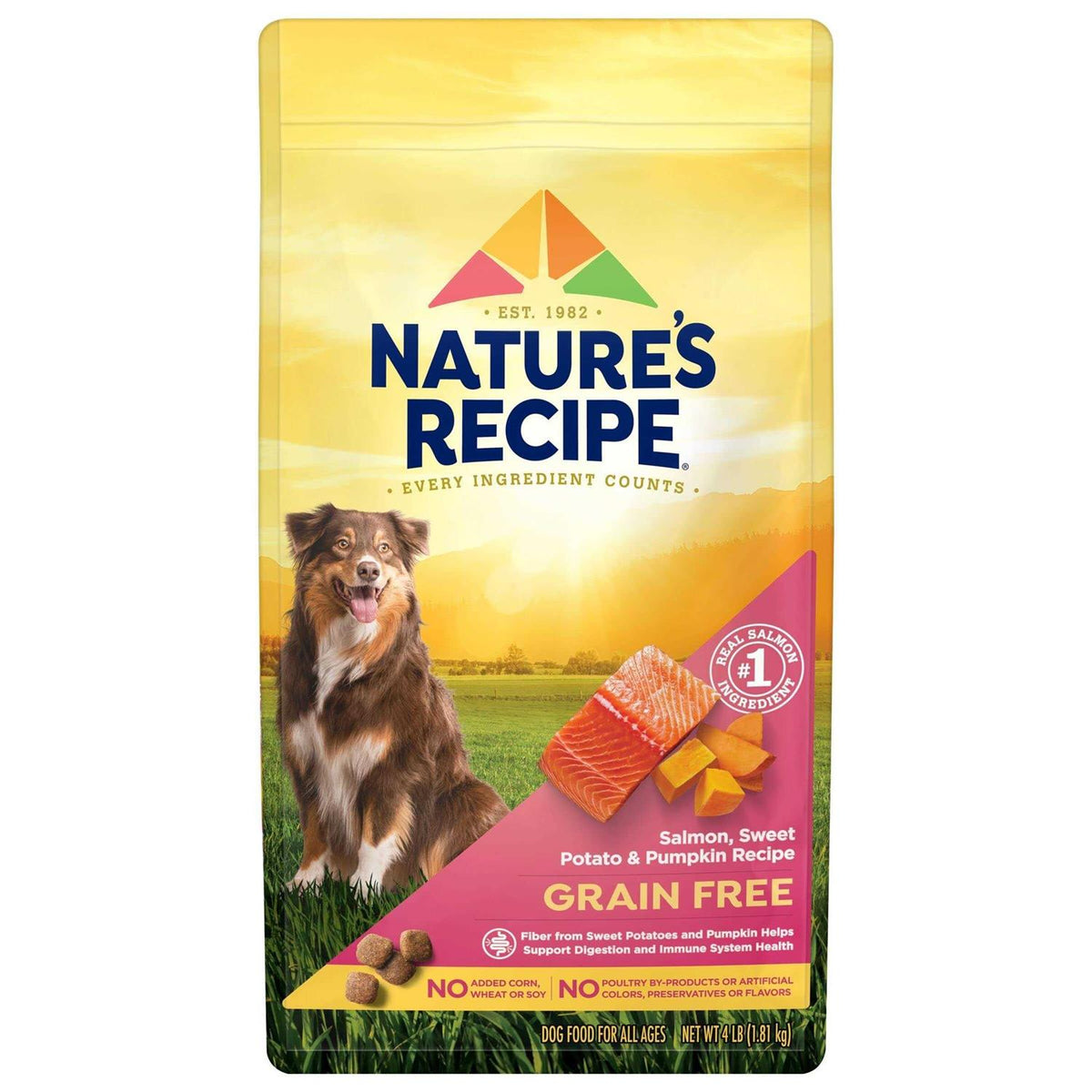 Grain Free Salmon Sweet Potato Dry Dog Food S149