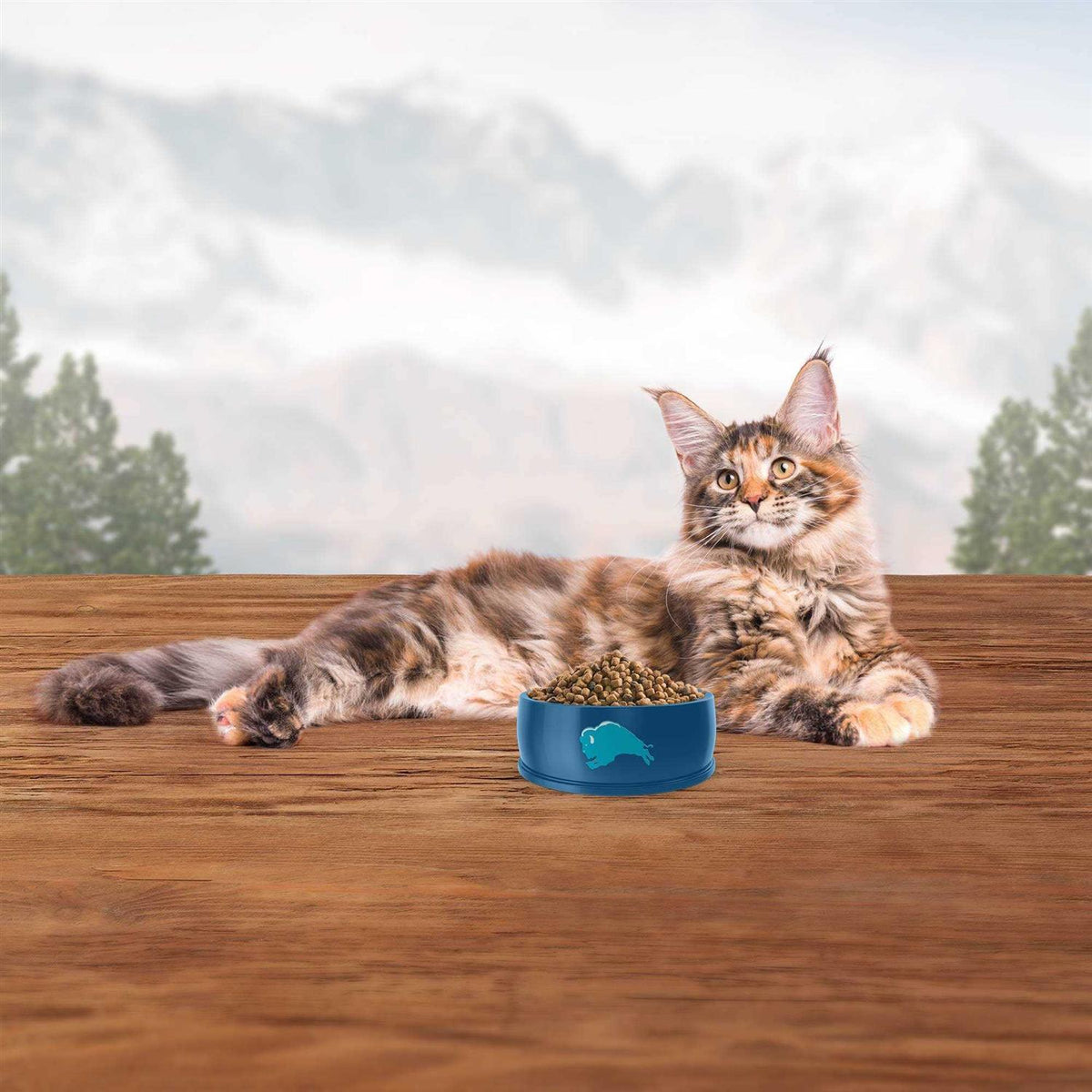 Blue Indoor Hairball Control Cat Dry Food T11225