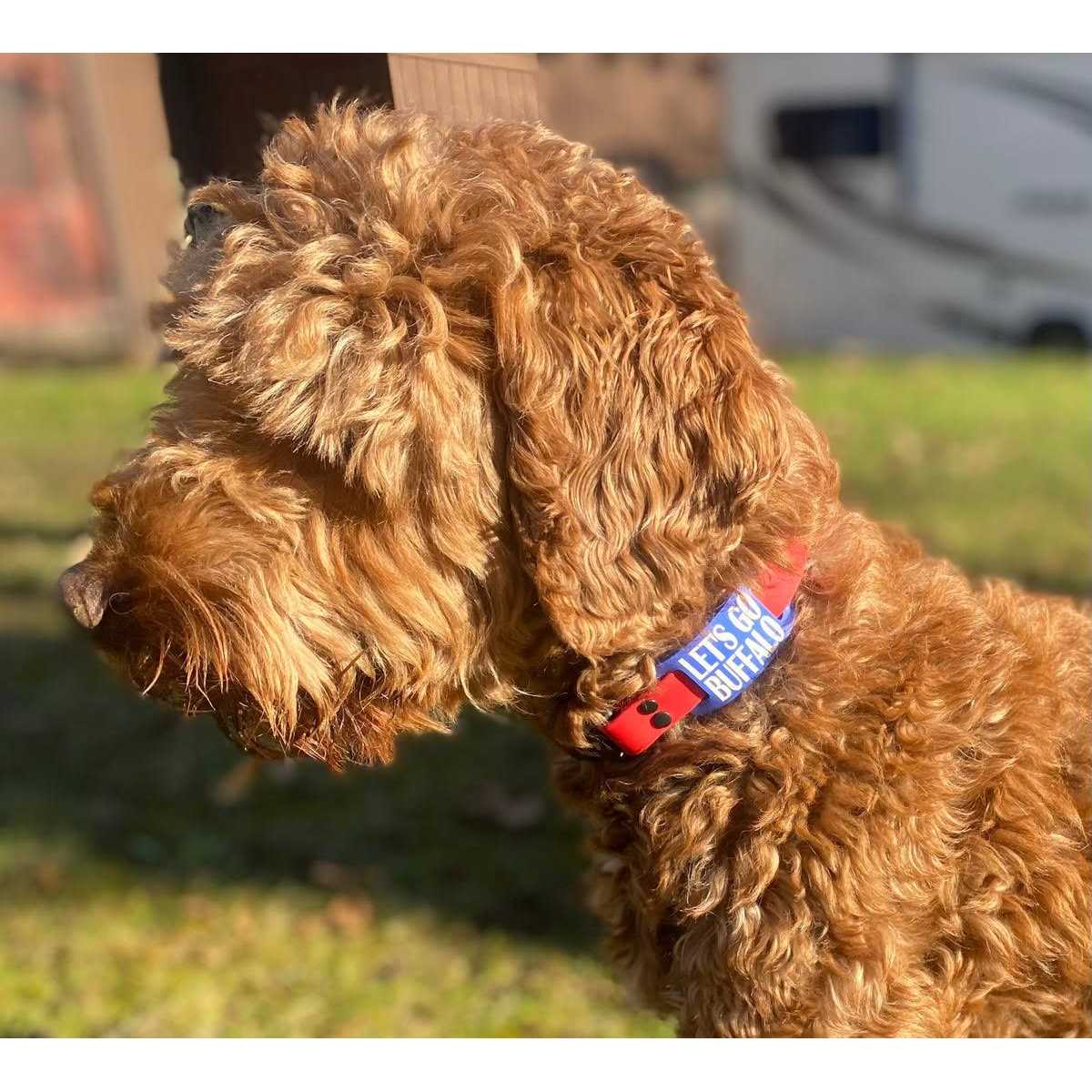 Silent Slide On Silicone Rubber Dog Collar Tag L9374