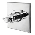 Antique Nickel Thermostatic Trim Plate with Handle I759